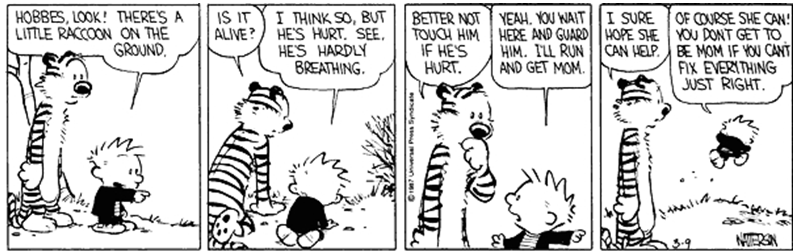 Tirinha em preto e branco de Calvin and Hobbes, de Bill Watterson (© 1987 Universal Press Syndicate), em quatro quadrinhos. No primeiro, o menino Calvin aponta para o chão e diz ao tigre Hobbes: "Hobbes, look! There's a little raccoon on the ground." (Hobbes, olha! Tem um guaxinimzinho no chão.). No segundo, Hobbes pergunta "Is it alive?" (Ele está vivo?) e Calvin responde: "I think so, but he's hurt. See, he's hardly breathing." (Acho que sim, mas ele está machucado. Veja, ele mal está respirando.). No terceiro, Hobbes adverte: "Better not touch him if he's hurt." (Melhor não tocar nele se está machucado.) e Calvin diz: "Yeah. You wait here and guard him. I'll run and get Mom." (É. Você espera aqui e o vigia. Vou correr e chamar a mamãe.). No último quadrinho, Calvin sai correndo enquanto Hobbes comenta "I sure hope she can help." (Tomara mesmo que ela possa ajudar.) e Calvin responde: "Of course she can! You don't get to be Mom if you can't fix everything just right." (Claro que pode! Você não chega a ser mãe se não consegue consertar tudo direitinho.).