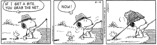 Tira do Snoopy em três quadrinhos, em preto e branco. Snoopy, de chapéu de pescador e vara na mão, avisa Woodstock: "If I get a bite, you grab the net..". No segundo quadrinho, grita: "Now!". No terceiro, Woodstock aparece embolado dentro da rede, arrastado pelo chão, enquanto Snoopy segue pescando. [Data 8-16, assinatura de Schulz e o endereço www.snoopy.com na lateral.]