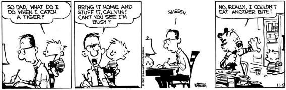 Tira de Calvin e Haroldo em quatro quadrinhos, em preto e branco. Calvin pergunta ao pai, que trabalha à mesa: "So dad, what do I do when I catch a tiger?". O pai responde sem levantar os olhos: "Bring it home and stuff it, Calvin! Can’t you see I’m busy?". No terceiro quadrinho, o pai resmunga: "Sheesh.". No último, Haroldo aparece sentado à mesa diante de uma refeição farta e diz: "No, really, I couldn’t eat another bite!". [Assinatura de Watterson e a data 11-15.]