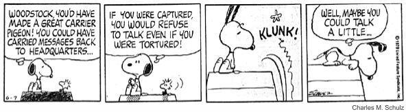 Tira do Peanuts em quatro quadrinhos, em preto e branco. Snoopy, de pé junto à casinha, diz a Woodstock: "Woodstock, you’d have made a great carrier pigeon! You could have carried messages back to headquarters...". Em seguida: "If you were captured, you would refuse to talk even if you were tortured!". No terceiro quadrinho, Woodstock desaba de costas com o efeito sonoro "Klunk!". No quarto, Snoopy emenda: "Well, maybe you could talk a little...". [Assinatura de Schulz, a data 6-7 e o crédito Charles M. Schulz abaixo da tira.]