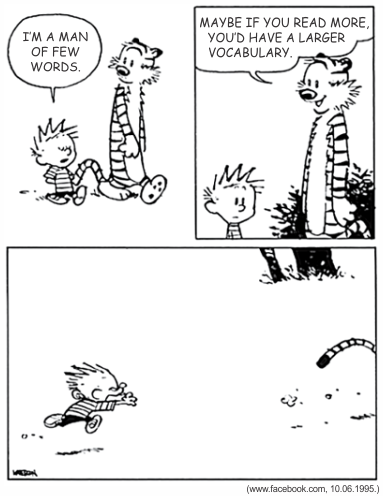 Tirinha em preto e branco de Calvin and Hobbes com três quadros. No primeiro, Calvin caminha ao lado do tigre Hobbes e declara, orgulhoso: 'I'm a man of few words.' (Eu sou um homem de poucas palavras.). No segundo, Hobbes retruca: 'Maybe if you read more, you'd have a larger vocabulary.' (Talvez, se você lesse mais, tivesse um vocabulário maior.), enquanto Calvin faz cara de contrariado. No último quadro, maior e sem falas, Calvin corre furioso atrás de Hobbes em um campo aberto — só se vê a cauda do tigre fugindo pelo canto direito. Assinatura de Watterson no desenho e crédito '(www.facebook.com, 10.06.1995.)'.